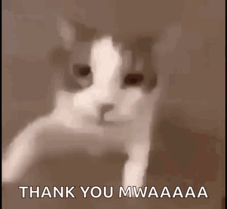 Thank You GIF